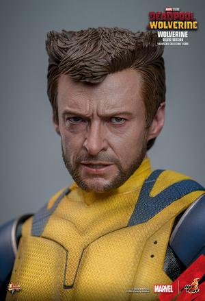 Hot Toys Wolverine