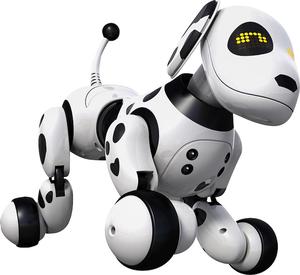 Zoomer Zoomer